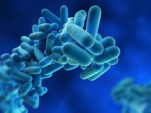 badanie-wody-legionella