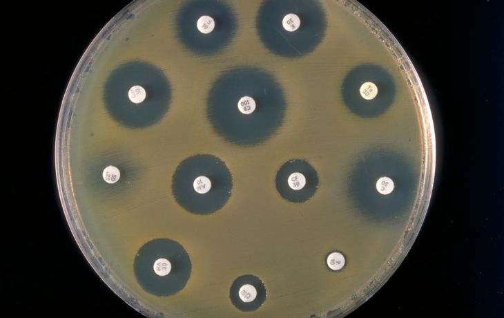 You are currently viewing Mechanisms of resistance of Gram-negative bacilli to antibiotics